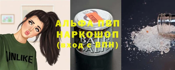 стаф Абаза