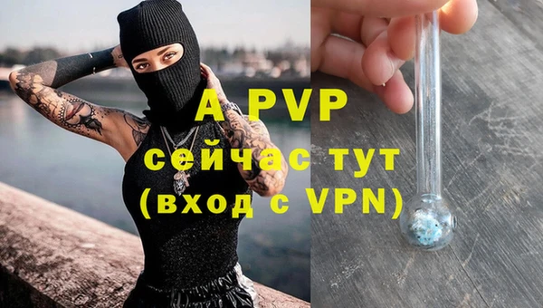 стаф Абаза