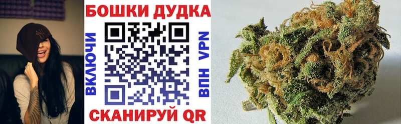 Канабис сатива  купить   Щёкино 